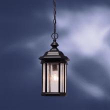  9810BK - Outdoor Pendant 1Lt