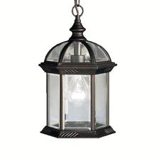  9835BKL18 - Outdoor Pendant 1Lt LED