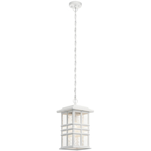  49833WH - Outdoor Pendant 1Lt