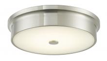  30097FM-BN-Spark - 12" Opal Glass Flushmount