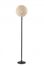  4304-12 - Havana Floor Lamp