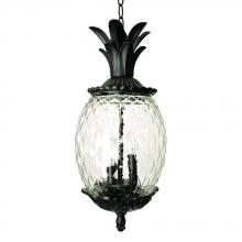  7516BK - Lanai Collection Hanging Lantern 3-Light Outdoor Matte Black Light Fixture