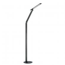  FL5002-BLK - JEXX 54 in. Black LED Floor Lamp