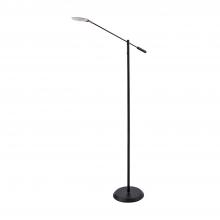  FL5021-BLK - IGGY Black Floor Lamp