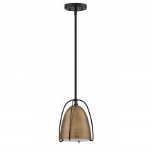  PF124-BRS/BLK - PF124 1-Light Brass & Black Pendant