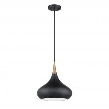  PF138-BLK/BRS - MEDINA 1-Light Black & Brass Pendant