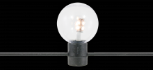  LFS-12V-1-LED-WW - LED festoon socket