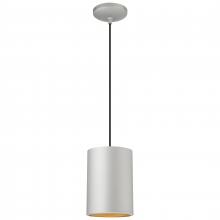  29006-SAT-C - Pendant